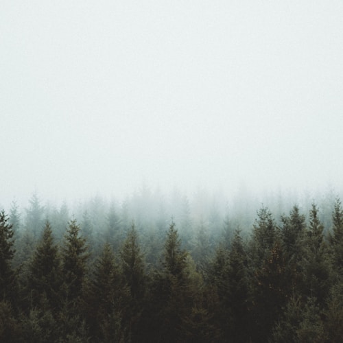 Data Security and Privacy in AI Ecosystems